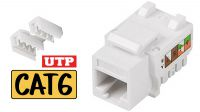 Conector Keystone RJ45 90° UTP Cat.6 - Blanco